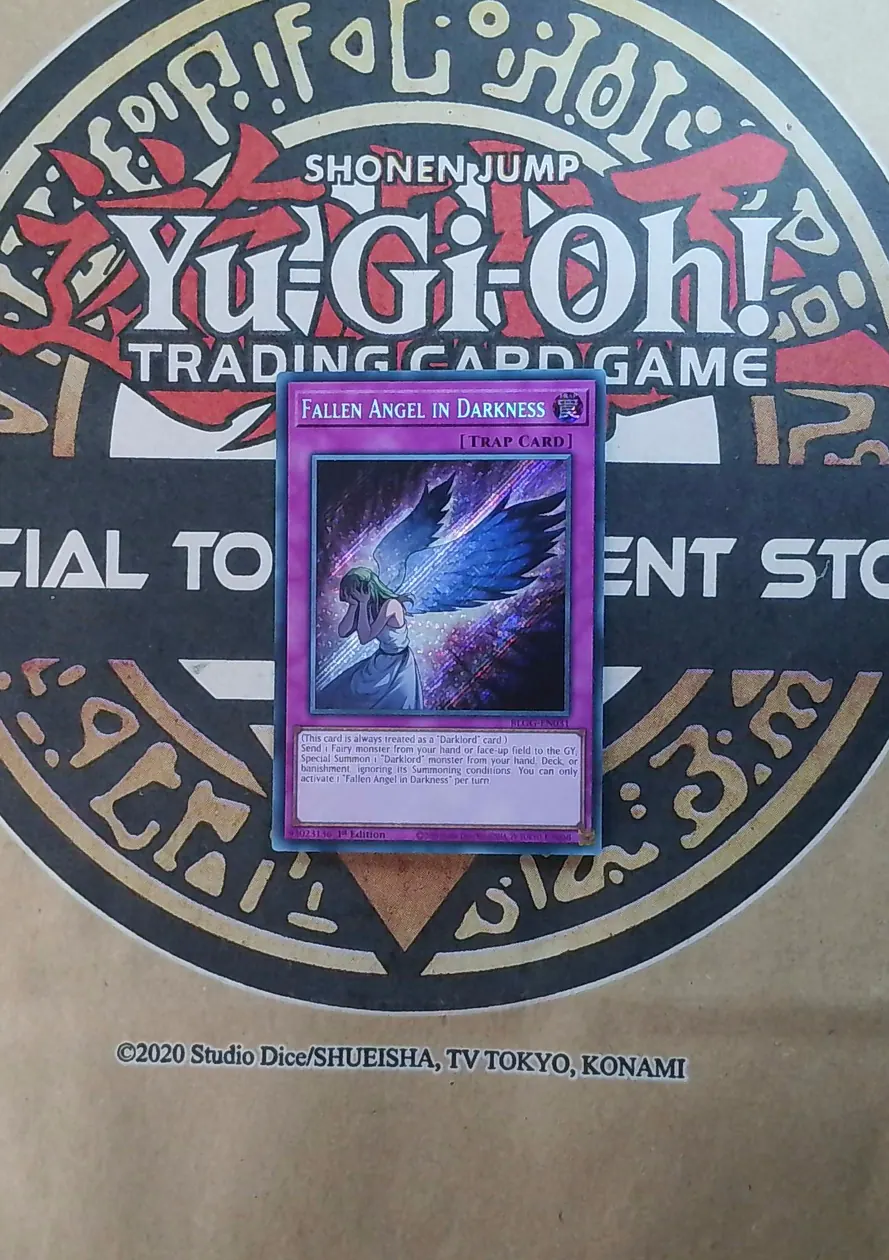 Fallen Angel in Darkness BLGG-EN031 Secret Rare front exact card scan