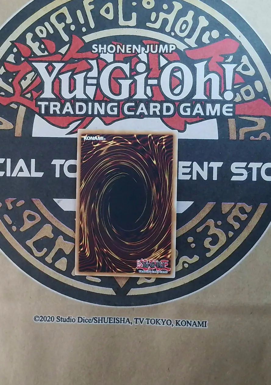 Junk Meister BLGG-EN033 Secret Rare back exact card scan
