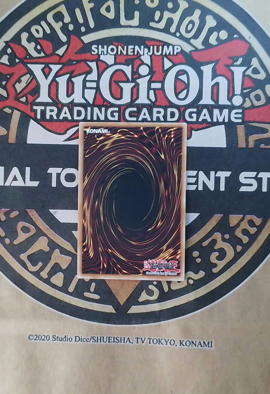 Raider’s Knight BLGG-EN099 Secret Rare back exact card scan