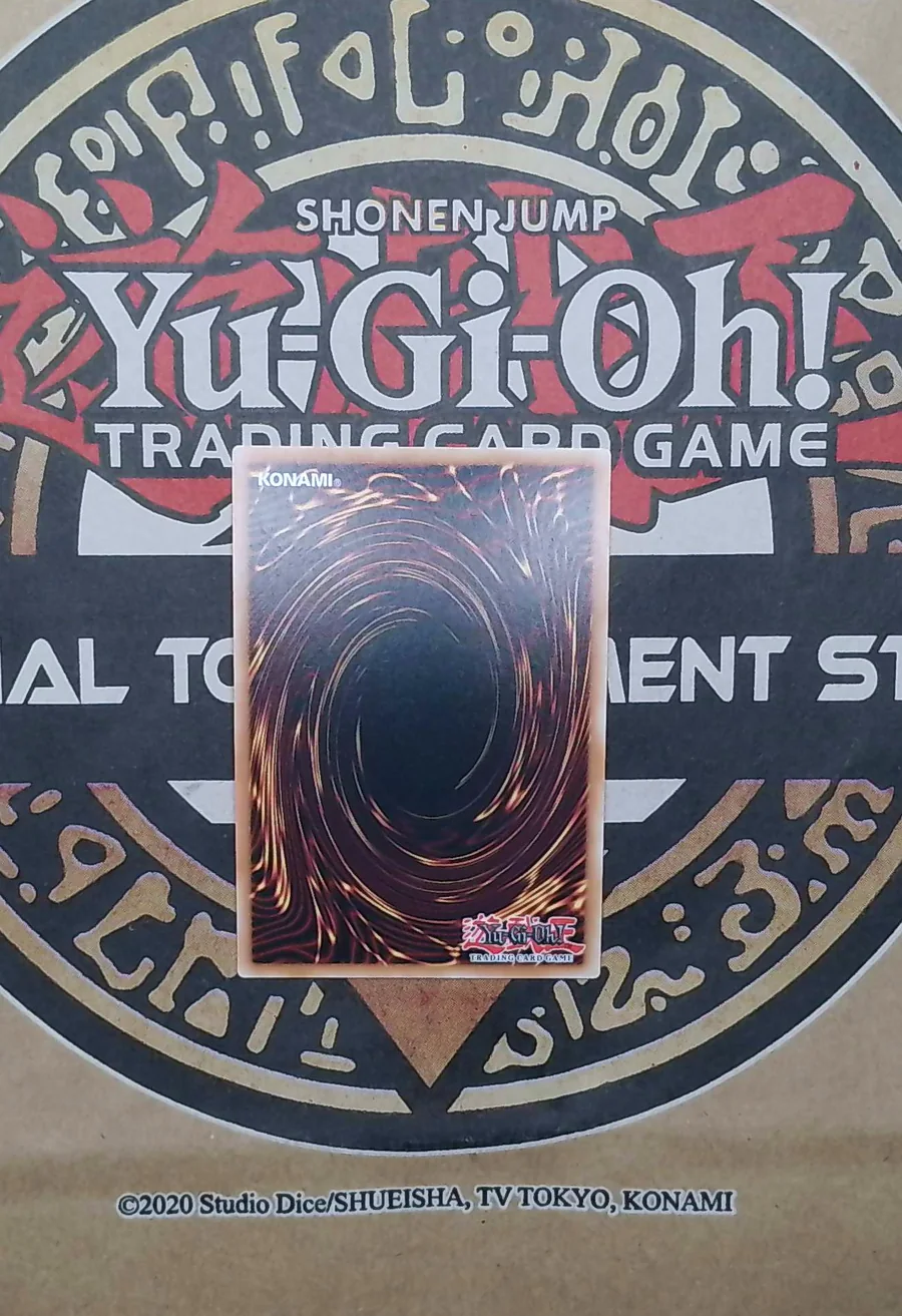 D/D Count Surveyor RA05-EN034 Secret Rare back exact card scan