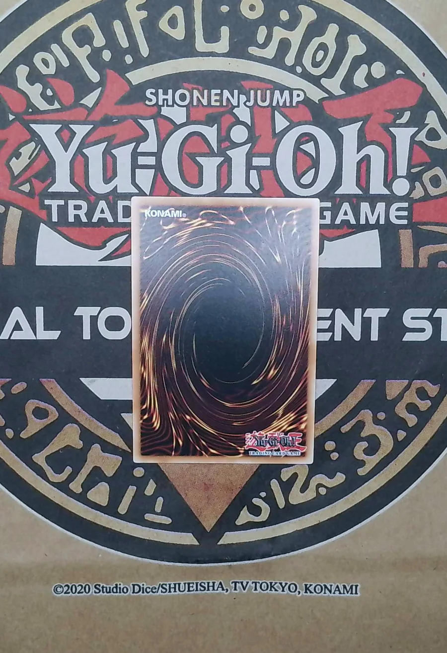 Raider's Knight BLGG-EN099 Secret Rare back exact card scan