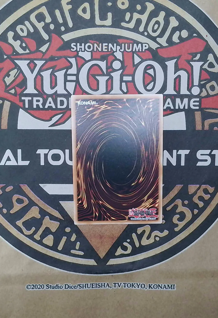 Raider's Knight BLGG-EN099 Secret Rare back exact card scan