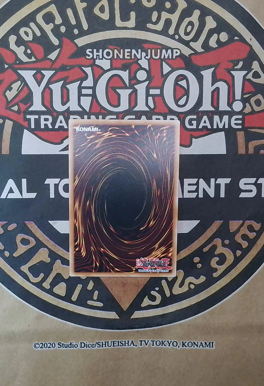 D/D Count Surveyor RA05-EN034 Secret Rare back exact card scan