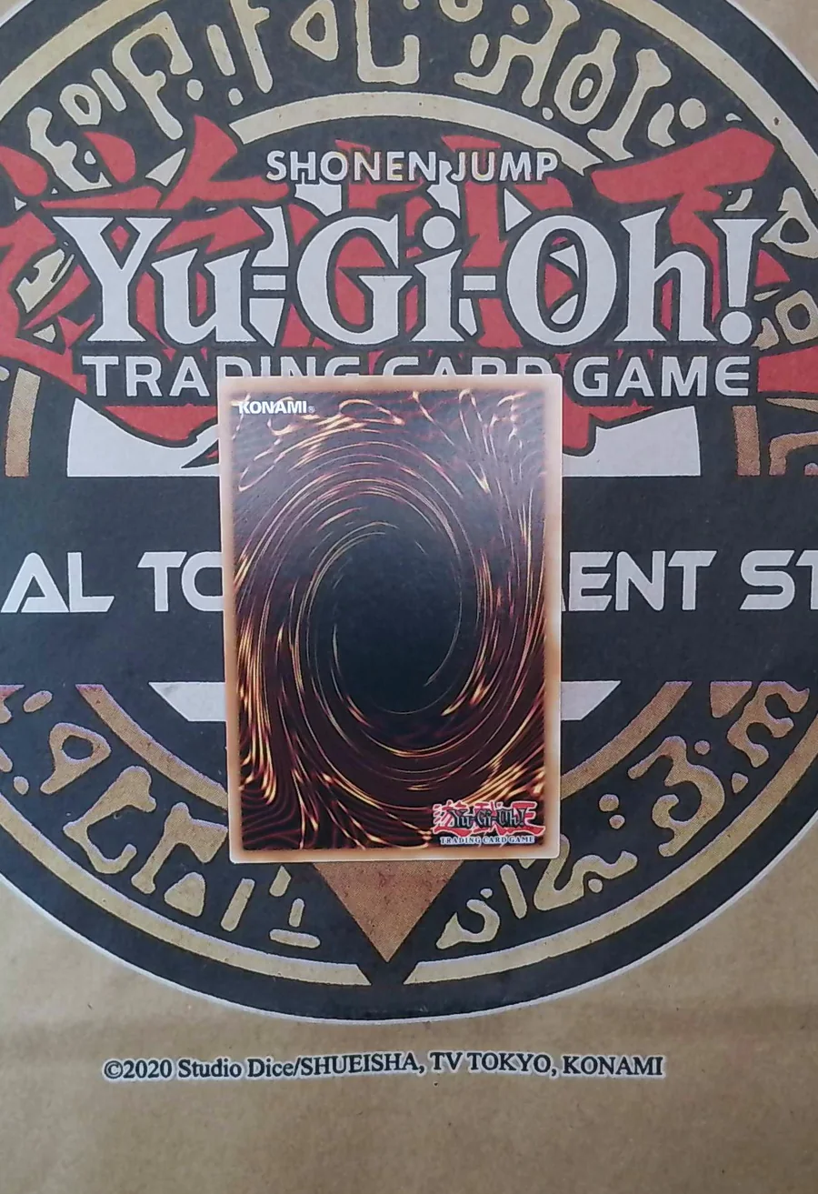 Stake Your Soul! RA05-EN069 Secret Rare back exact card scan