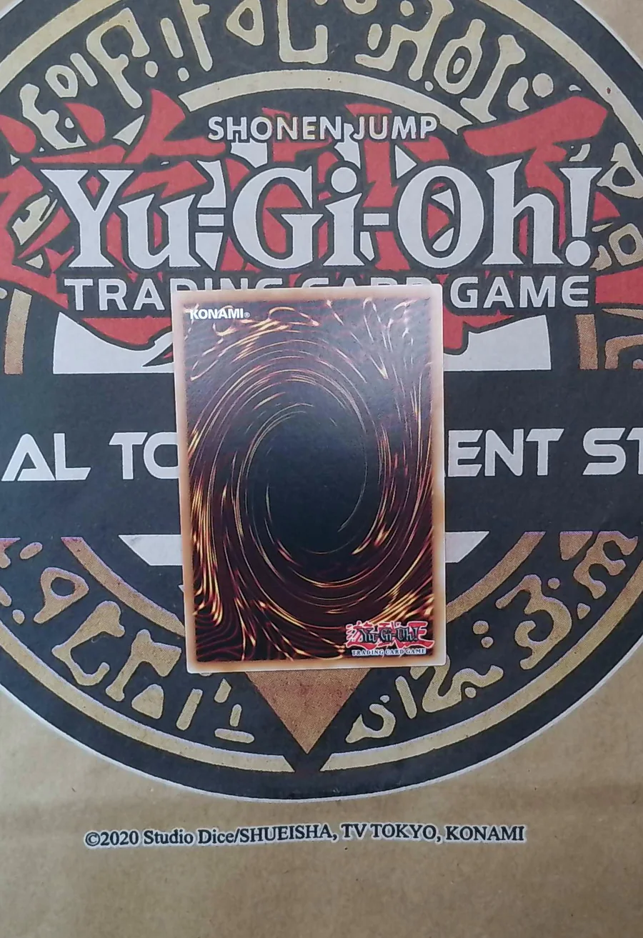 Rescue Cat RA02-EN001 Secret Rare back exact card scan
