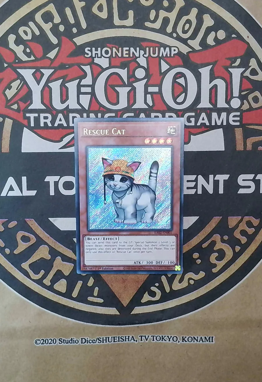 Rescue Cat RA02-EN001 Secret Rare front exact card scan