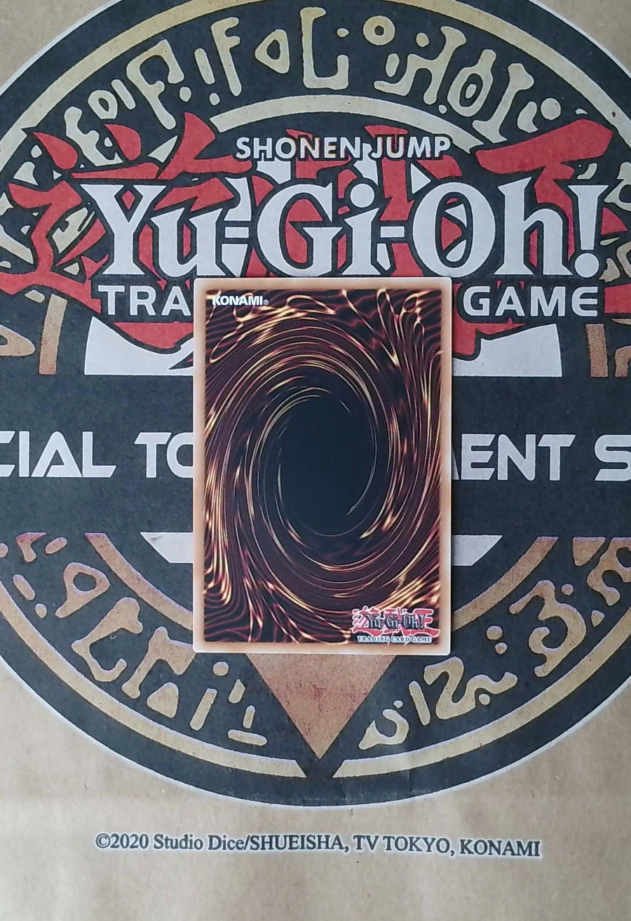 Dark Magician Girl BLGG-EN003 Secret Rare back exact card scan